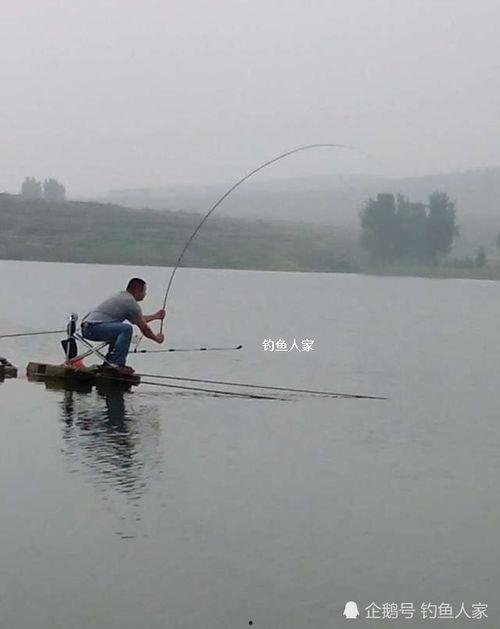 最新钓鱼人爆料,最新钓场奇遇记