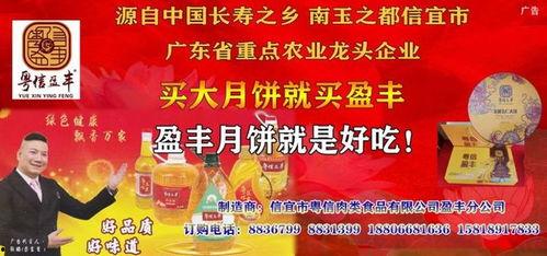 信宜最新爆料新闻报道内容,揭秘重大事件背后真相